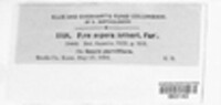 Image Associated With the Occurence